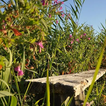 Seetelhotel Nautic Usedom & Fuer Wellness & Genuss Auf Usedom 4* Koserow