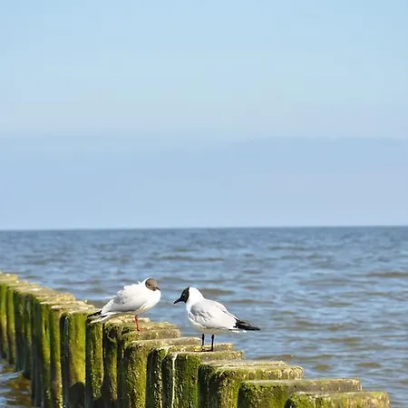 Seetelhotel Nautic Usedom & Fuer Wellness & Genuss Auf Usedom 4* Koserow