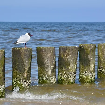 ホテル Seetelhotel Nautic Usedom & Fuer Wellness & Genuss Auf Usedom